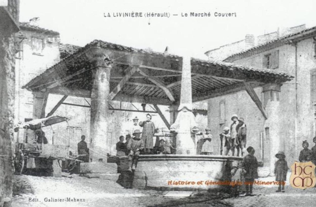 La Maison De Leontine La Liviniere エクステリア 写真